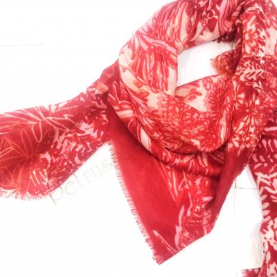 Etole petrusse eve blanc rouge